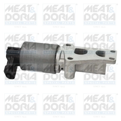 EGR Valve